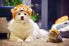 品種齊全、價格合理